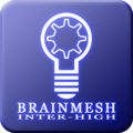 BrainMesh Inter-High