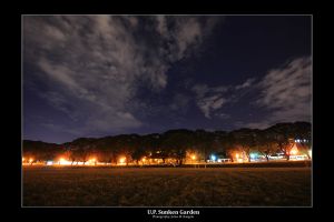 Sunken Garden Night4.jpg