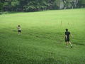 Father and son playing catch