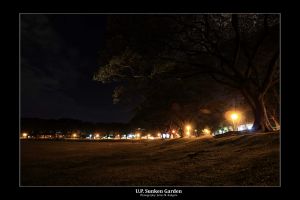 Sunken Garden Night5.jpg