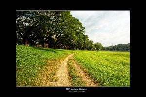 Sunken Garden Path hdri.jpg