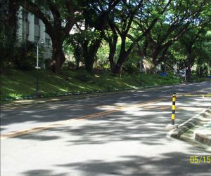 University in the forest.jpg